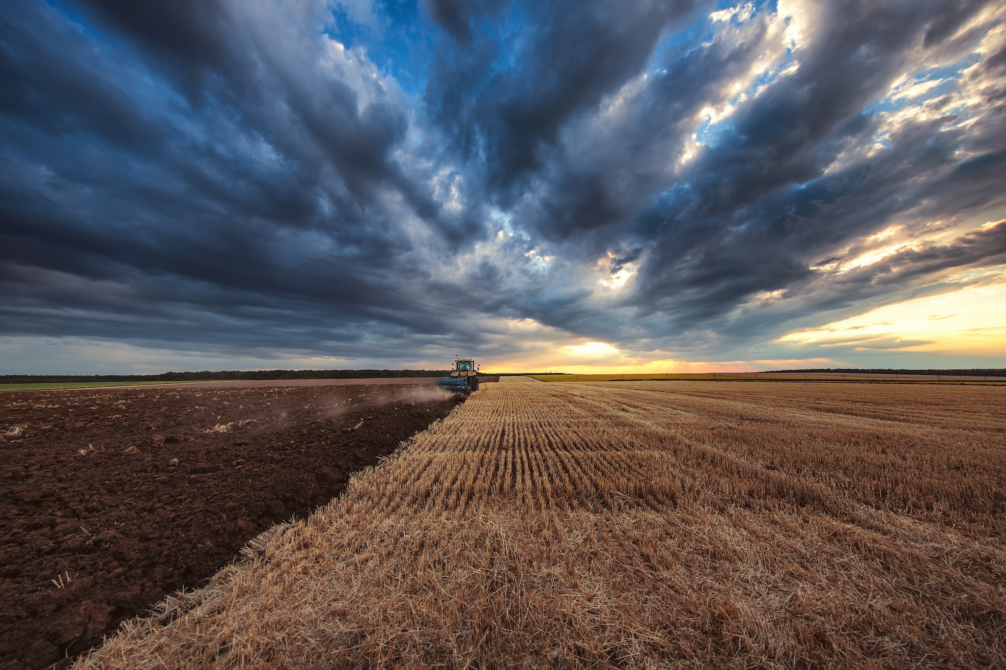 Harvester in field