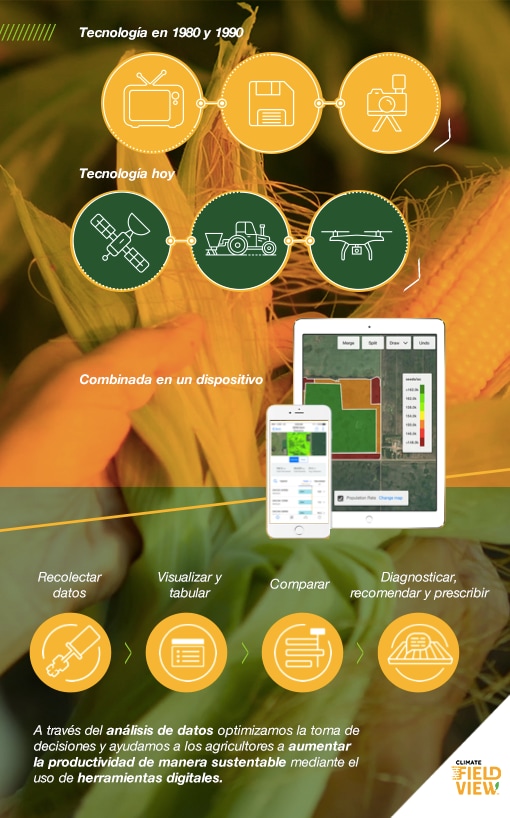 Infografía_FieldView