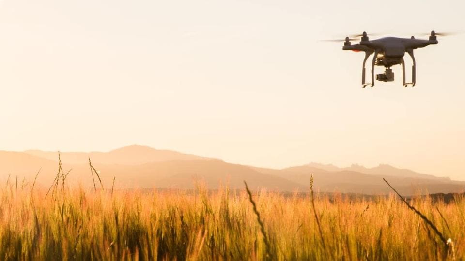 Un dron vuela sobre un campo dorado de hierba alta al atardecer, con montañas visibles al fondo.